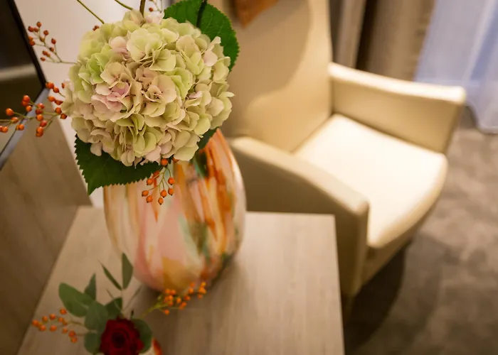 호텔 Boutique Scheepers 팔켄뷔르흐안더횔